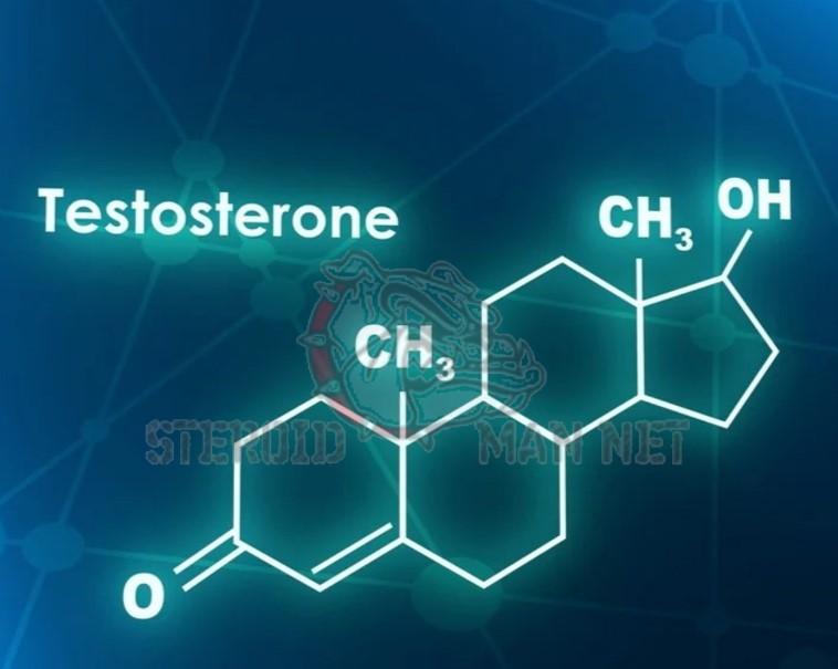 Тестостерон купить
